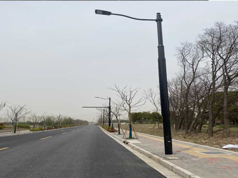 爱辉区上海综合杆 太阳能路灯工程